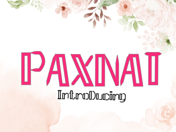 Discovering Paxnat: A Modern Display Font for Editorial Design